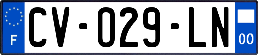 CV-029-LN