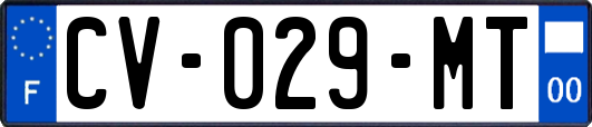 CV-029-MT