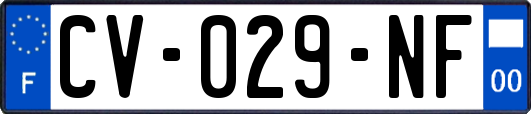 CV-029-NF