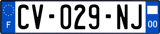 CV-029-NJ