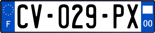 CV-029-PX