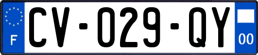 CV-029-QY