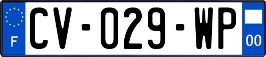 CV-029-WP