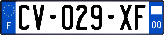 CV-029-XF