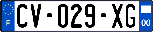 CV-029-XG