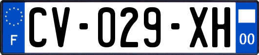 CV-029-XH