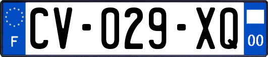 CV-029-XQ