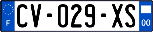 CV-029-XS