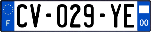 CV-029-YE