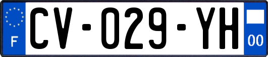 CV-029-YH
