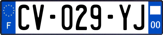 CV-029-YJ