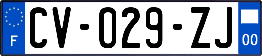 CV-029-ZJ