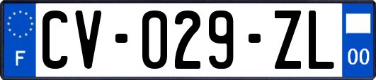 CV-029-ZL