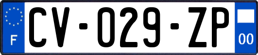 CV-029-ZP