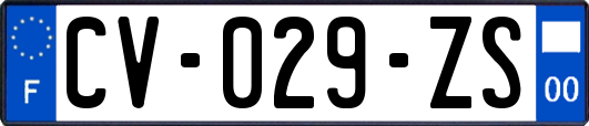 CV-029-ZS