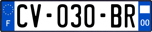 CV-030-BR