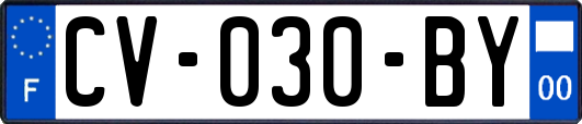 CV-030-BY