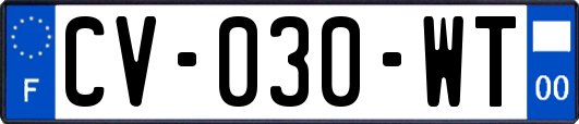 CV-030-WT