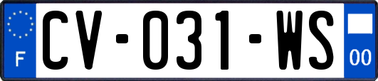 CV-031-WS