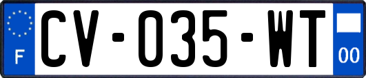 CV-035-WT