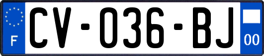 CV-036-BJ