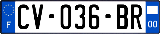 CV-036-BR