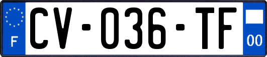 CV-036-TF