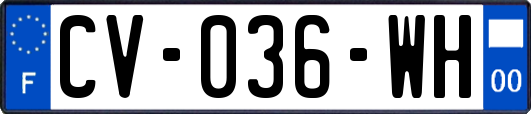 CV-036-WH