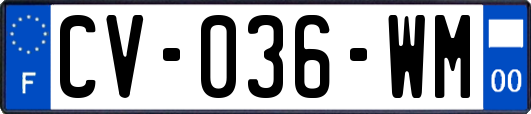 CV-036-WM