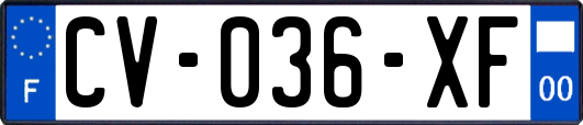 CV-036-XF