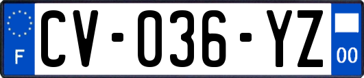 CV-036-YZ