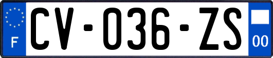 CV-036-ZS