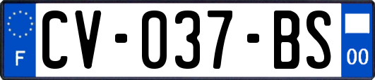 CV-037-BS