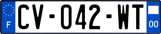 CV-042-WT