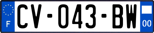 CV-043-BW