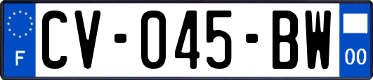CV-045-BW