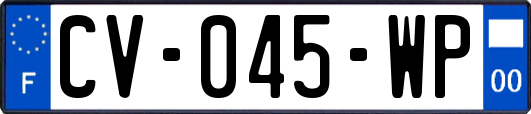 CV-045-WP