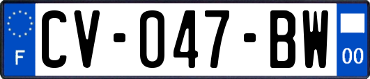 CV-047-BW