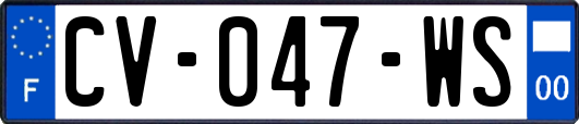 CV-047-WS