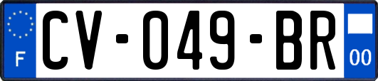 CV-049-BR