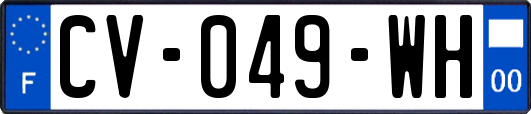 CV-049-WH
