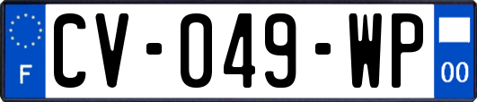 CV-049-WP