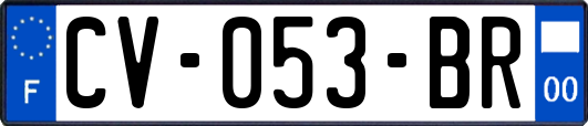 CV-053-BR