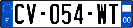CV-054-WT