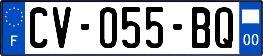 CV-055-BQ