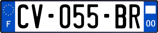 CV-055-BR