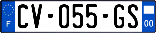 CV-055-GS