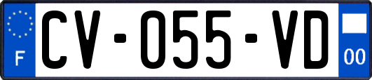 CV-055-VD