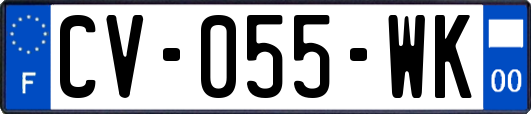 CV-055-WK