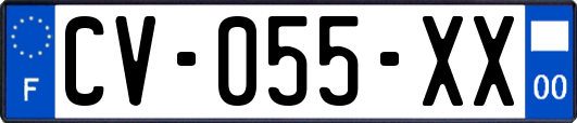 CV-055-XX